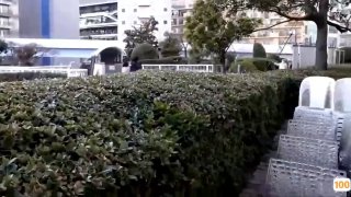 「麻豆独家_老司机探花」吸舔取精爱不释手_长腿学生娇羞不已